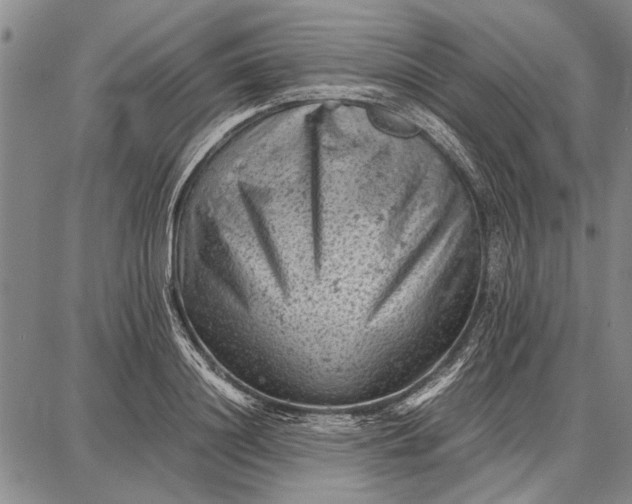 X0000087670844200705181703