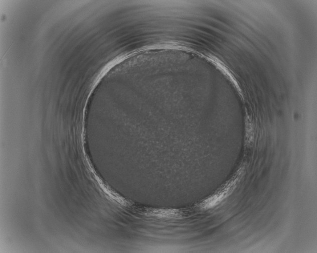 X0000087670845200705181703