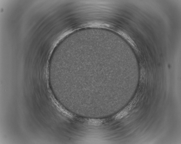 X0000087670848200705181703