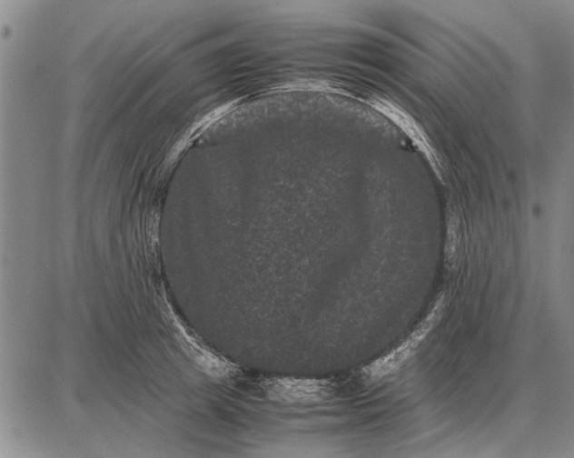 X0000087670849200705181703