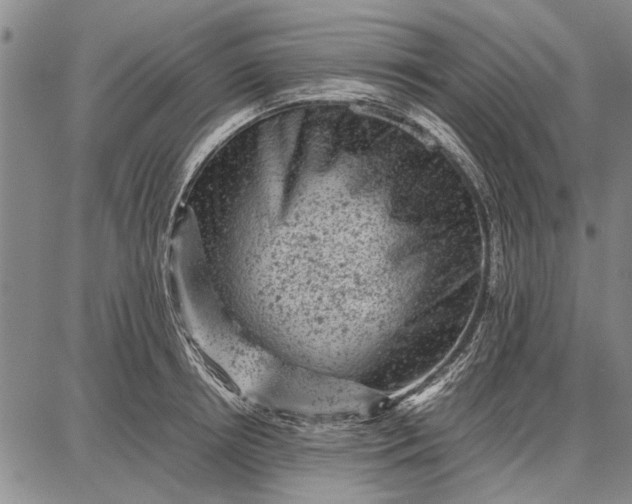 X0000087670850200705181703