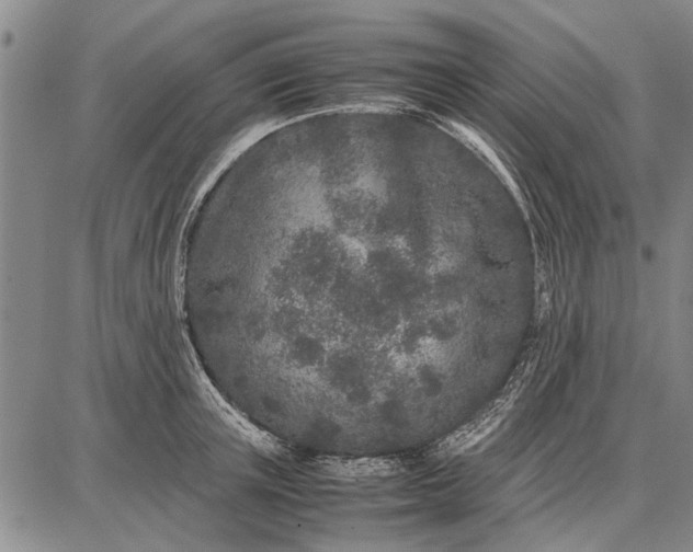 X0000087670851200705181703