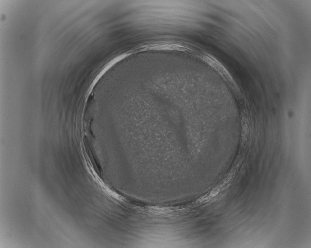 X0000087670852200705181703