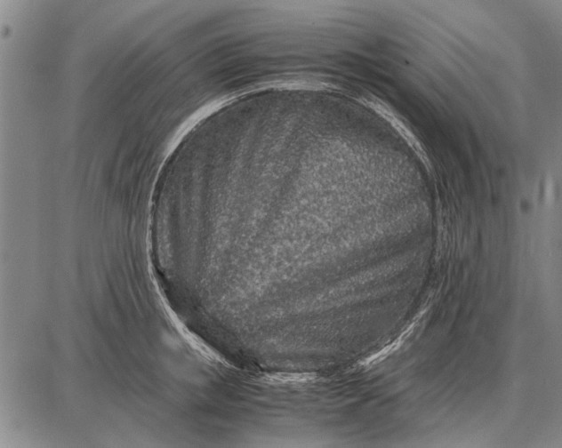 X0000087670853200705181703