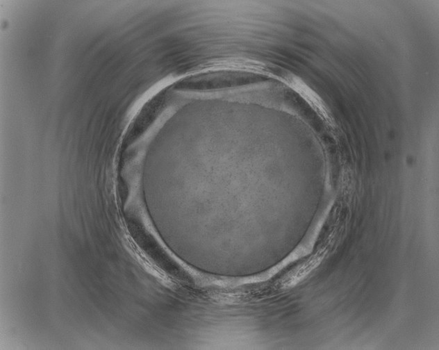 X0000087670854200705181703