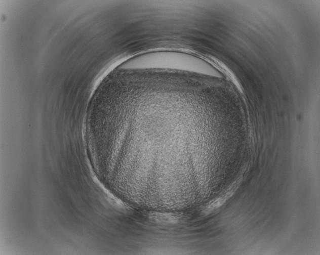 X0000087670855200705181703