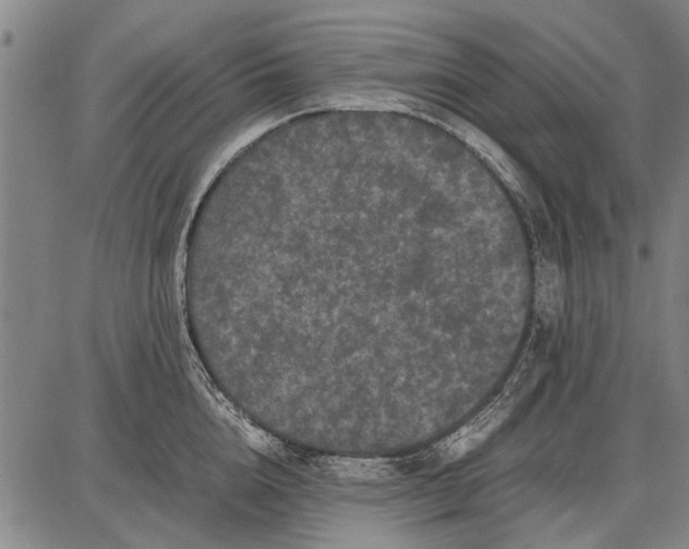 X0000087670856200705181703