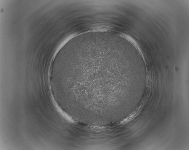 X0000087670859200705181703