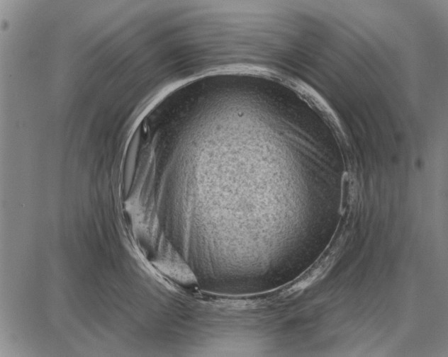 X0000087670860200705181703