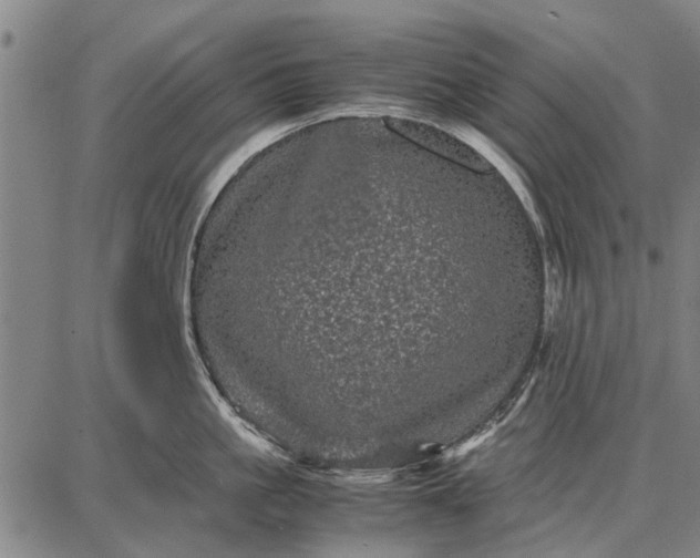 X0000087670861200705181703