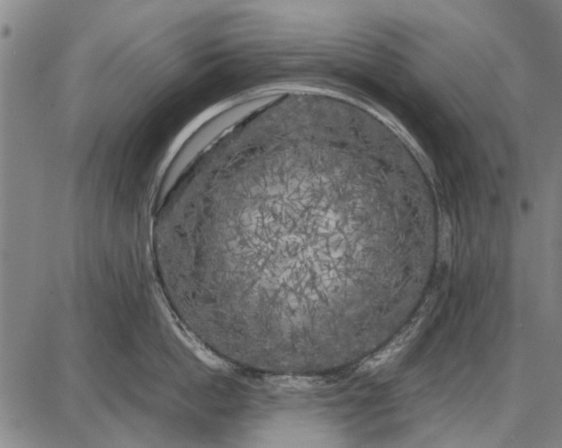 X0000087670862200705181703