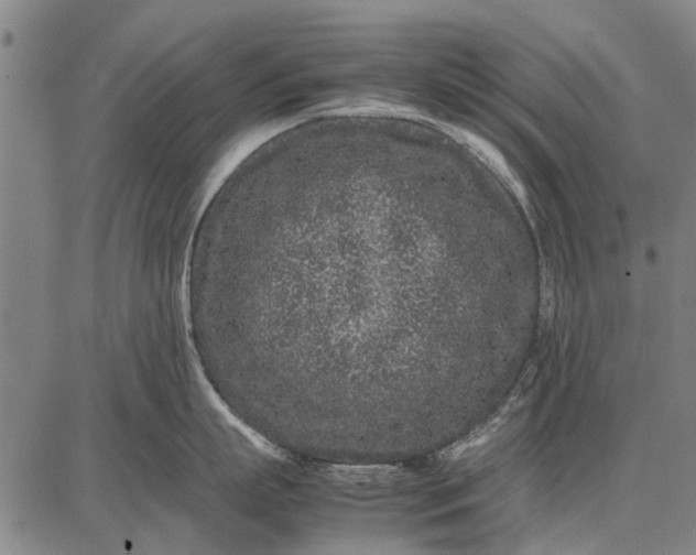 X0000087670863200705181703