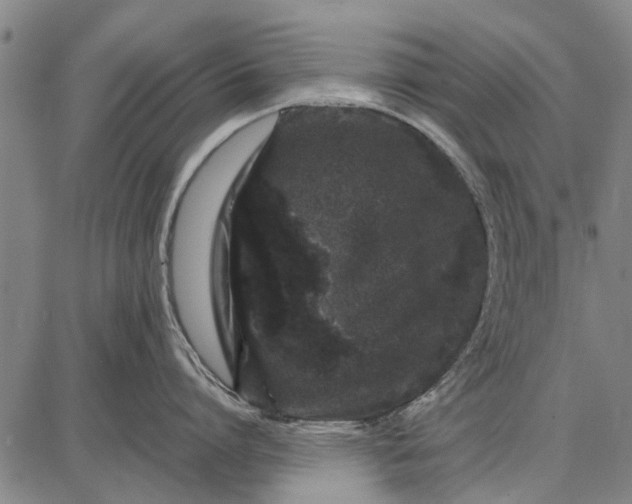 X0000087670864200705181703