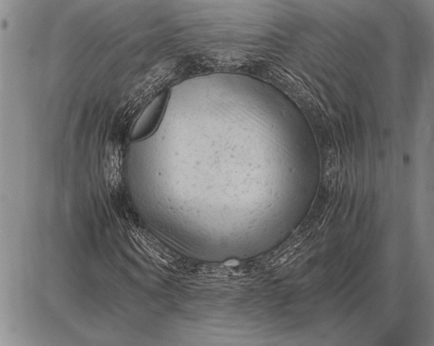 X0000087670866200705181702