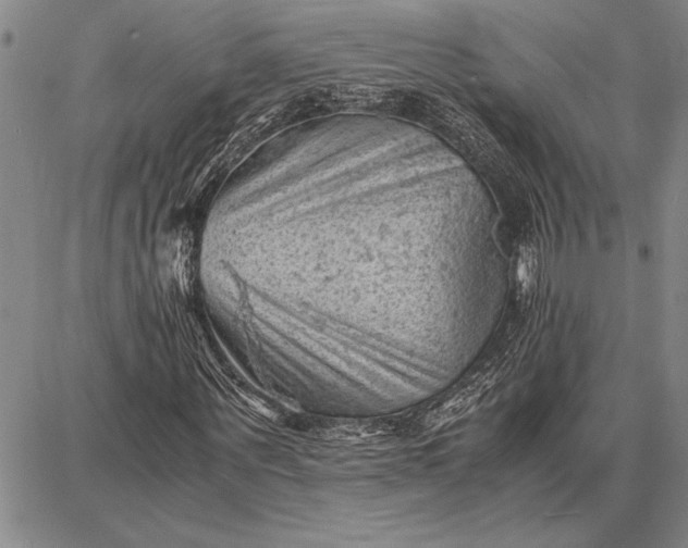 X0000087670867200705181702