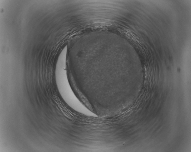 X0000087670868200705181702