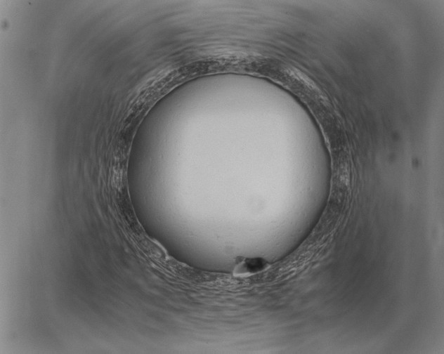 X0000087670869200705181702