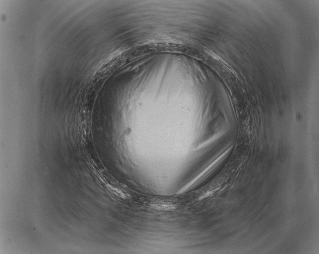 X0000087670870200705181702