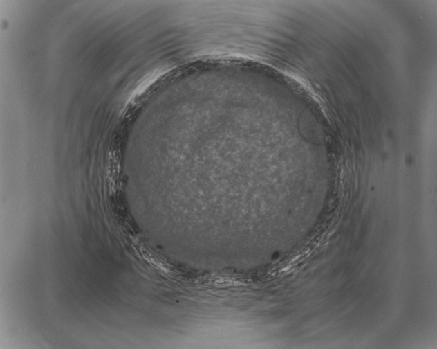 X0000087670871200705181702