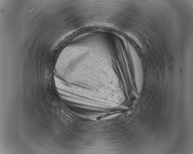 X0000087670872200705181702