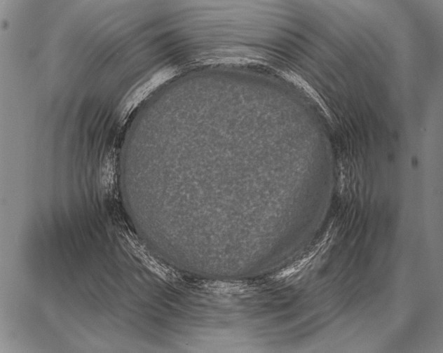 X0000087670874200705181702