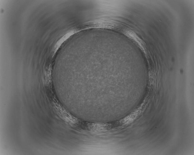 X0000087670875200705181702