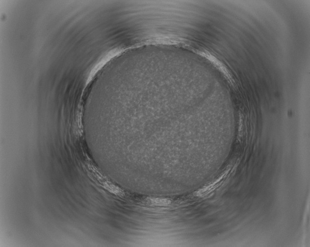 X0000087670878200705181702