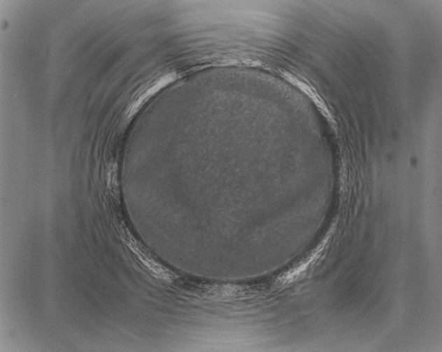 X0000087670881200705181702