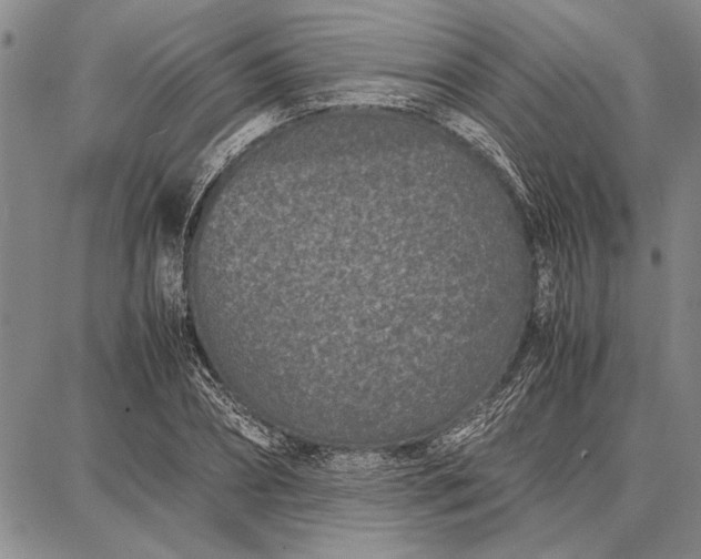 X0000087670882200705181702