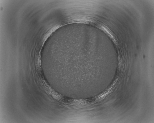 X0000087670883200705181702