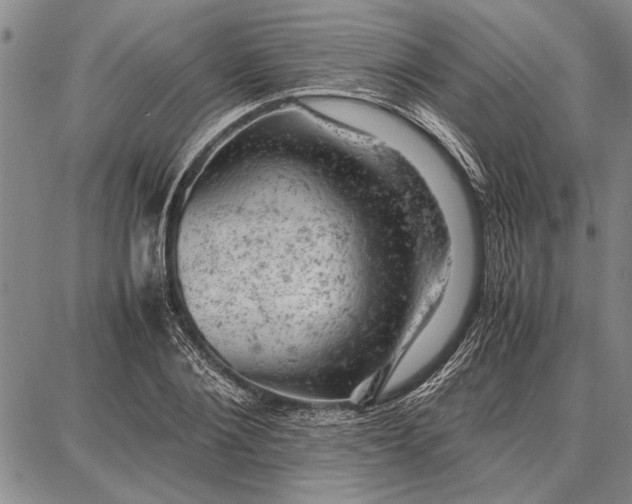 X0000087670884200705181702