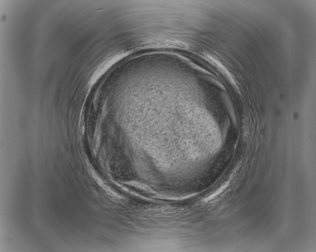 X0000087670885200705181702