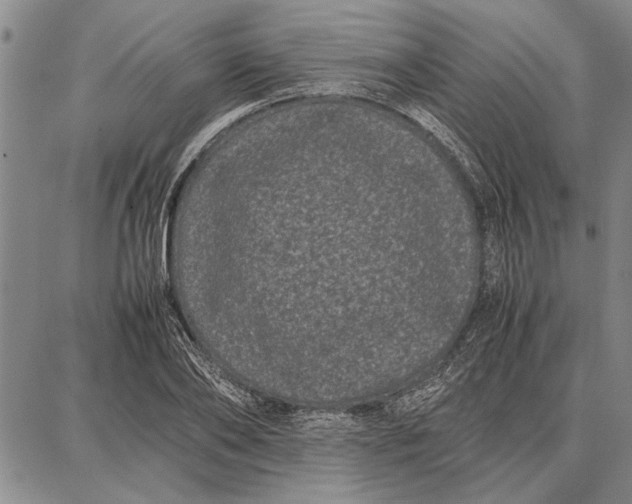 X0000087670886200705181702