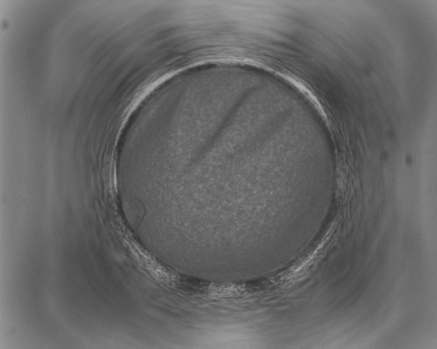 X0000087670887200705181702