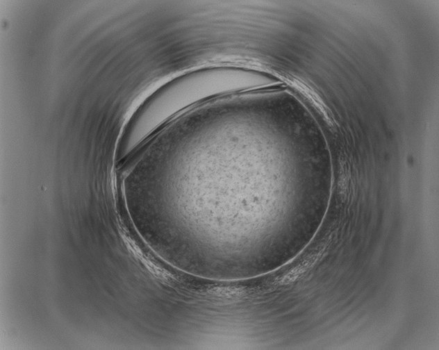 X0000087670888200705181702