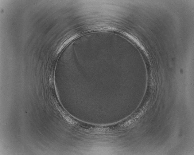 X0000087670889200705181702