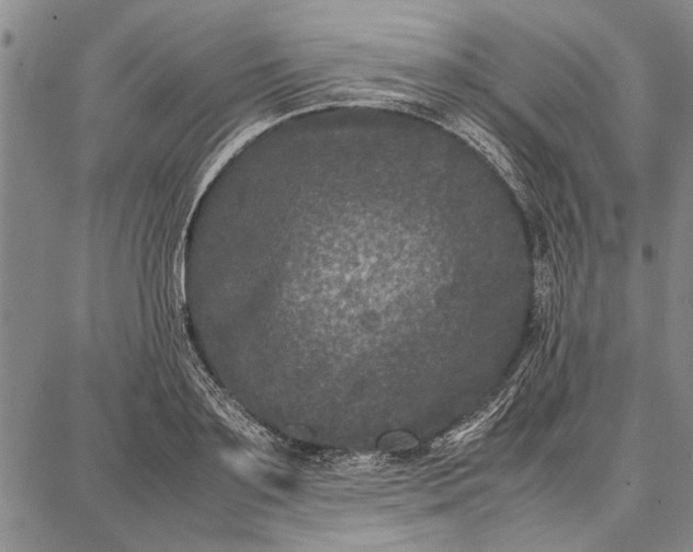 X0000087670891200705181702