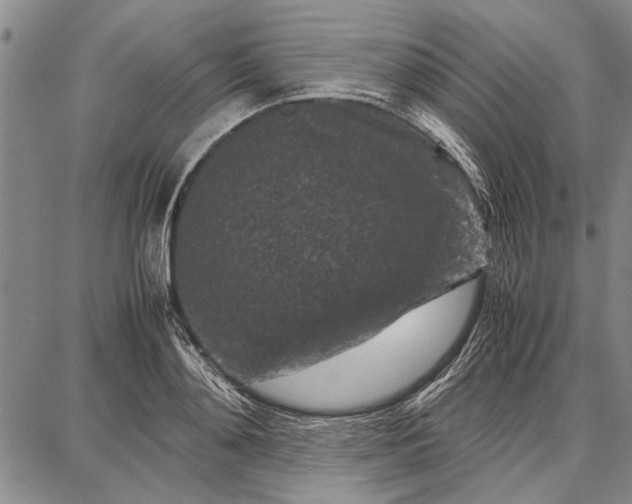 X0000087670892200705181702