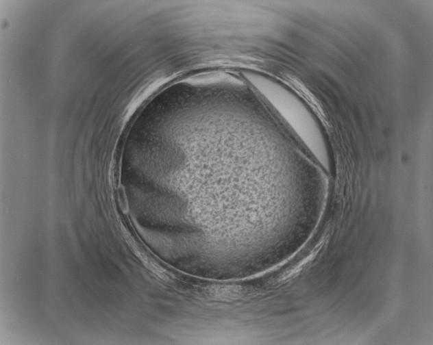 X0000087670893200705181702