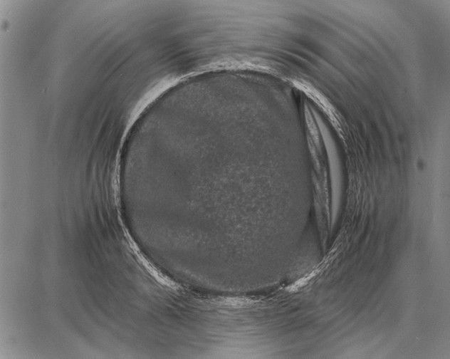 X0000087670894200705181702