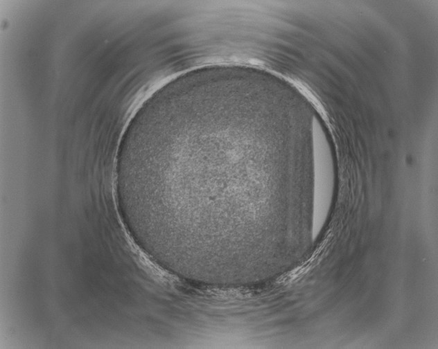 X0000087670895200705181702