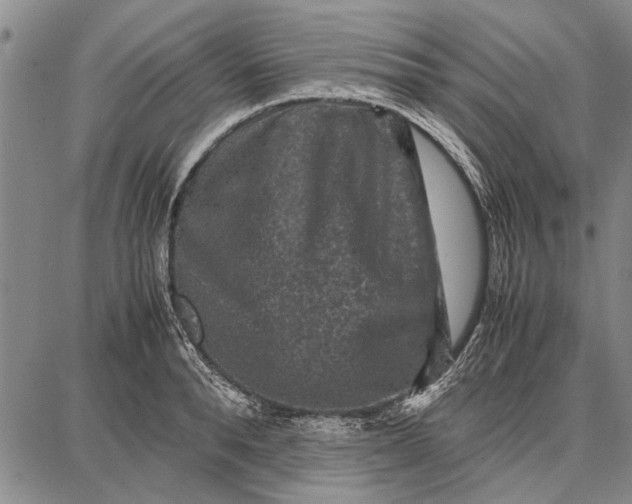 X0000087670896200705181702