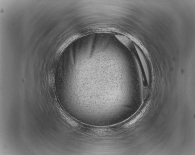 X0000087670897200705181702