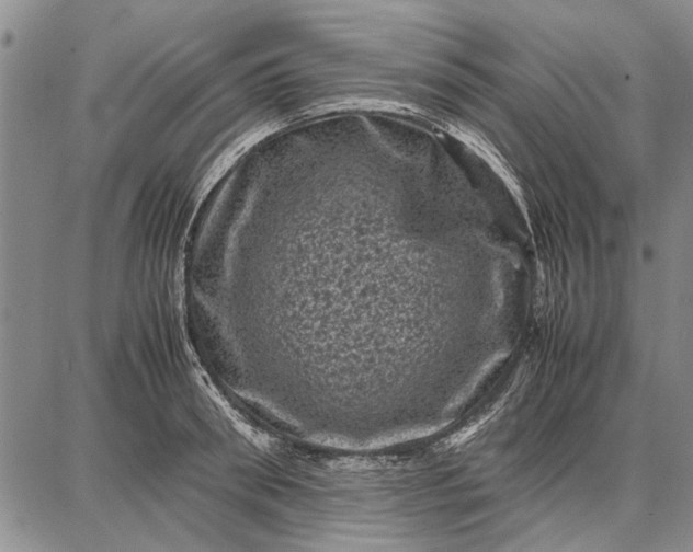 X0000087670898200705181702