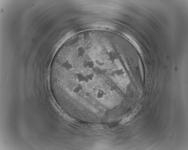 X0000087670899200705181702