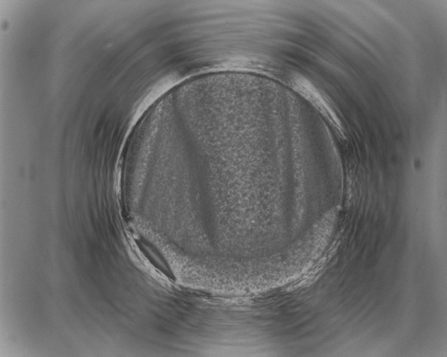 X0000087670900200705181702