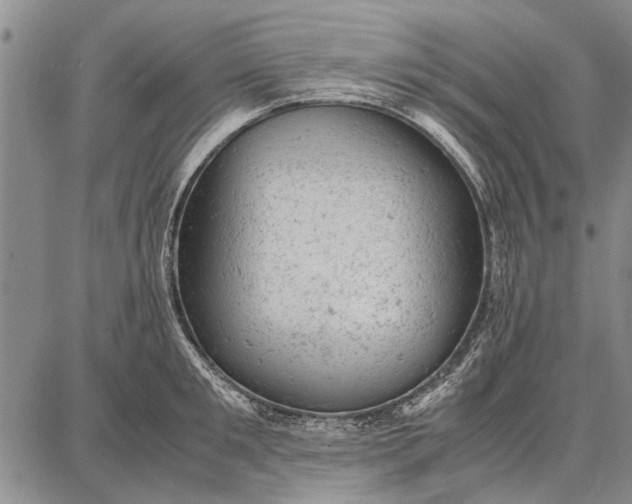 X0000087670901200705181702