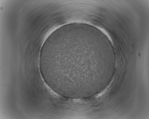 X0000087670903200705181701