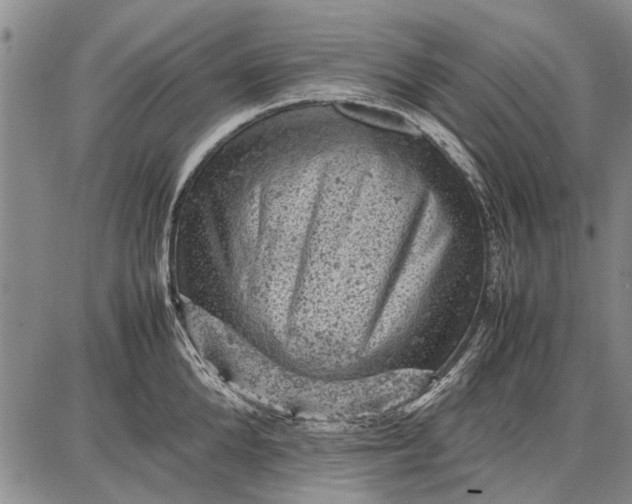 X0000087670904200705181701