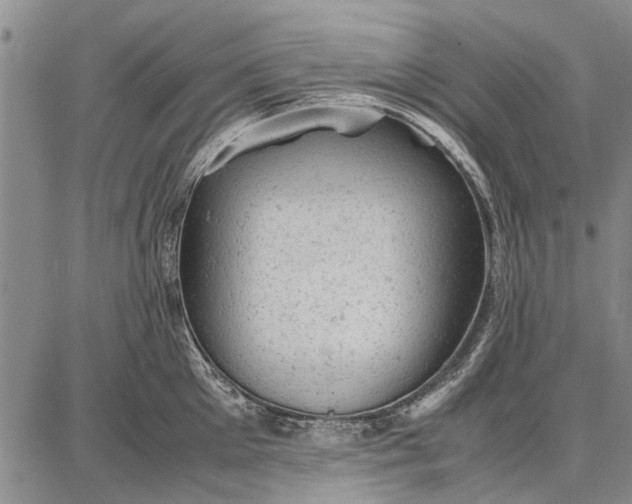 X0000087670905200705181701